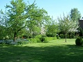 Garten mit Sicht zum Nachbargrundstück