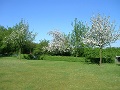 Garten mit Sicht zur Feldseite